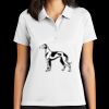 Women's Tech Basic Dri FIT Polo Thumbnail