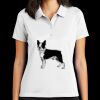 Women's Tech Basic Dri FIT Polo Thumbnail