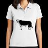 Women's Tech Basic Dri FIT Polo Thumbnail