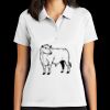 Women's Tech Basic Dri FIT Polo Thumbnail