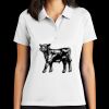 Women's Tech Basic Dri FIT Polo Thumbnail