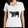 Women's Tech Basic Dri FIT Polo Thumbnail