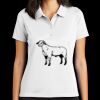Women's Tech Basic Dri FIT Polo Thumbnail