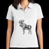Women's Tech Basic Dri FIT Polo Thumbnail