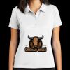 Women's Tech Basic Dri FIT Polo Thumbnail