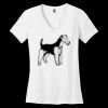 Women's Perfect Weight ® V Neck Tee Thumbnail