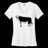 Women's Perfect Weight ® V Neck Tee Thumbnail