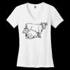 Women's Perfect Weight ® V Neck Tee Thumbnail