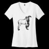 Women's Perfect Weight ® V Neck Tee Thumbnail