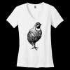 Women's Perfect Weight ® V Neck Tee Thumbnail
